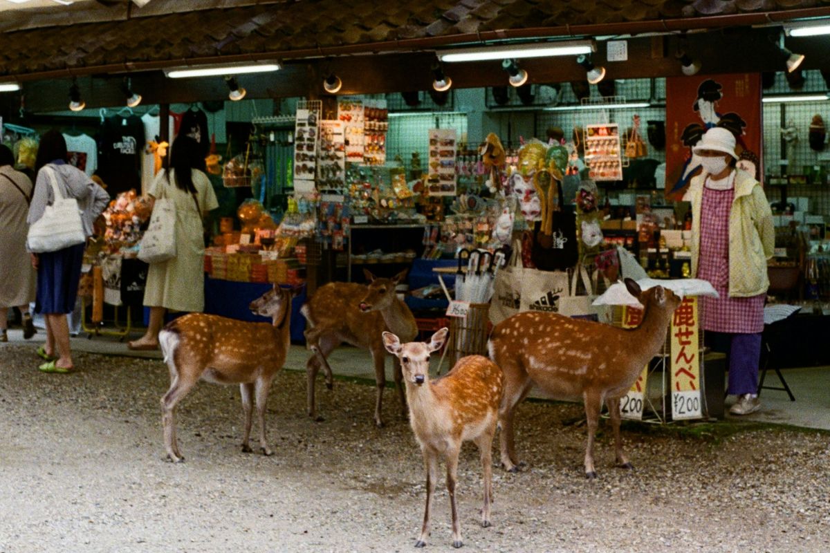 Stores at Nara Park