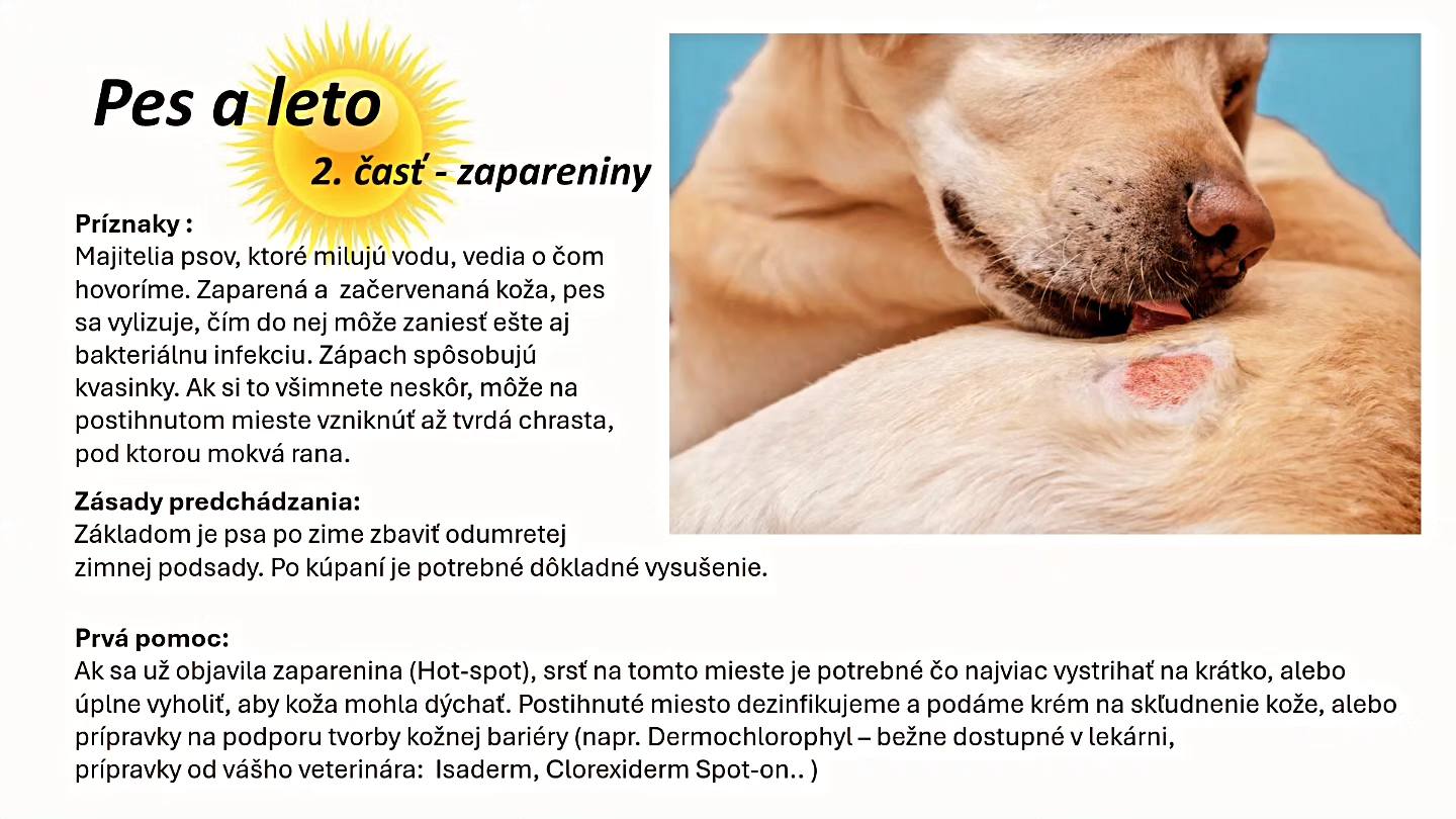 Leto časť druhá