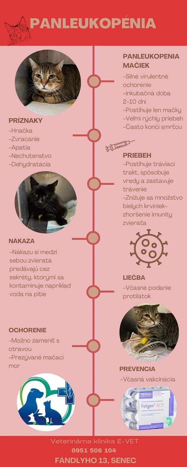 Panleukopenia