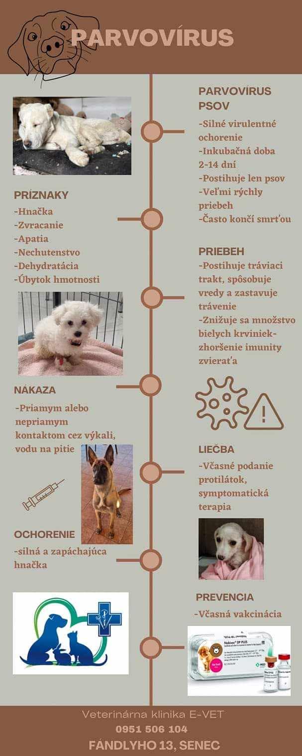 Parvoviróza