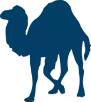 Perl logo