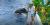 Reserva tu Pasadía Oceanario + Cocoliso en Islas del Rosario
