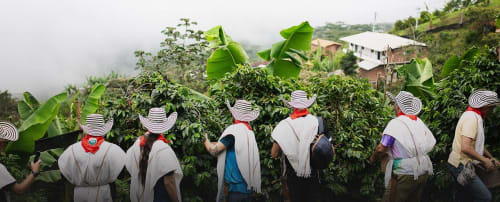Tour del Café en Medellín