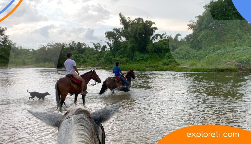 Palomino, Guajira: cómo llegar y qué hacer