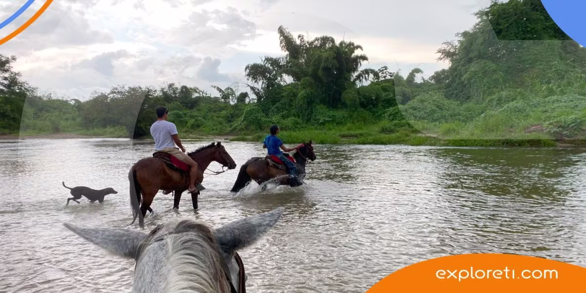 Palomino, Guajira: cómo llegar y qué hacer