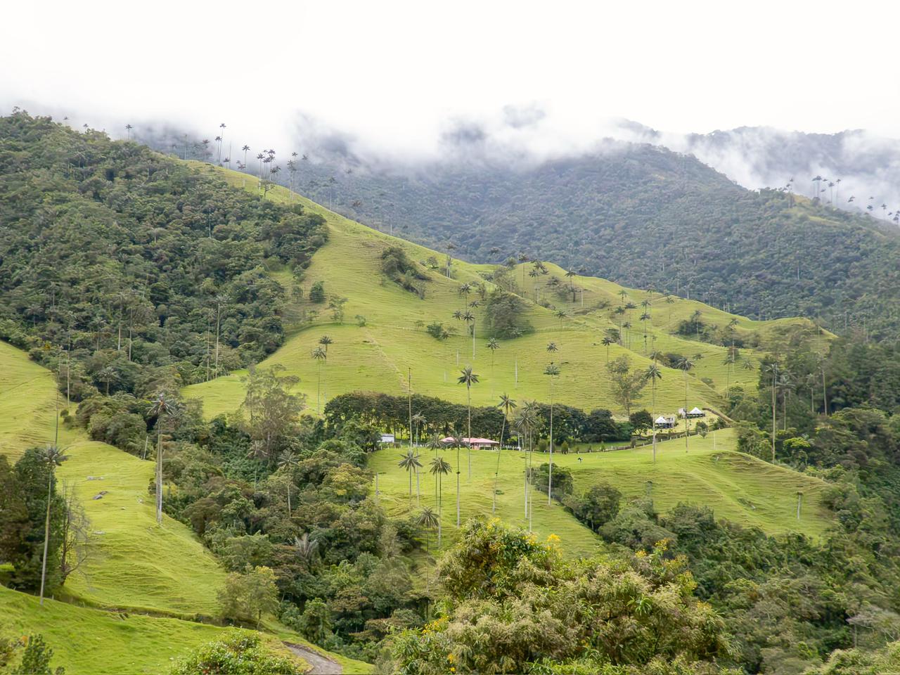 Imagen 2