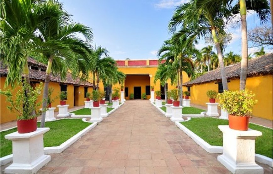 Imagen 4