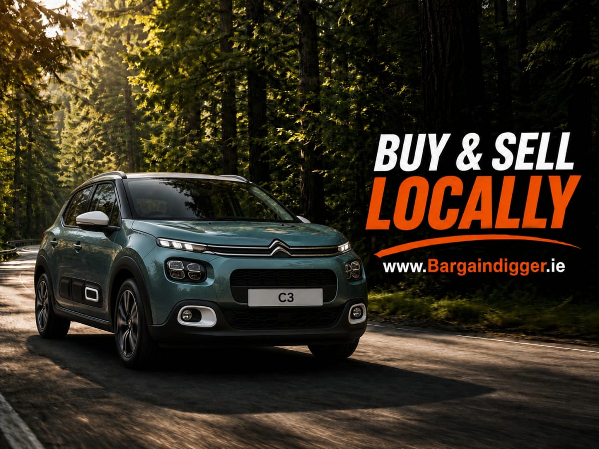 Most Popular French Car Models in Ireland 2026