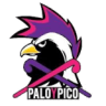 Palo y Pico