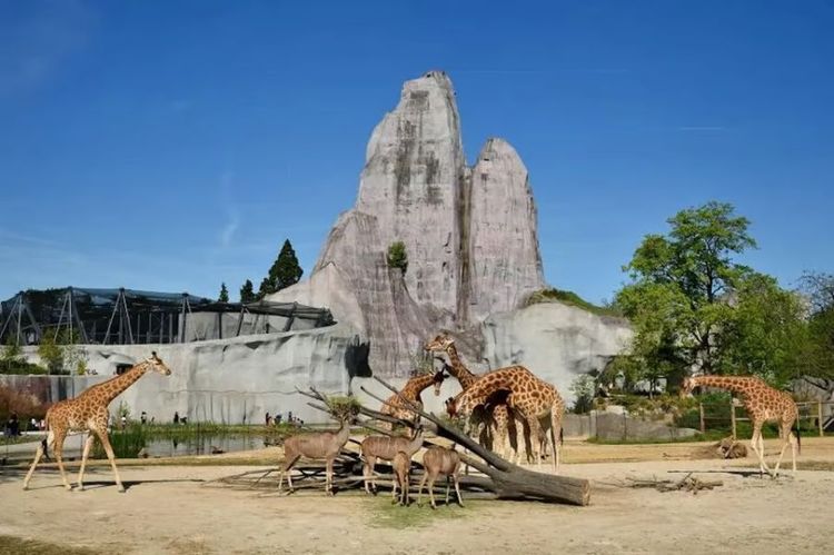 parczoologiquedeparis1.jpg