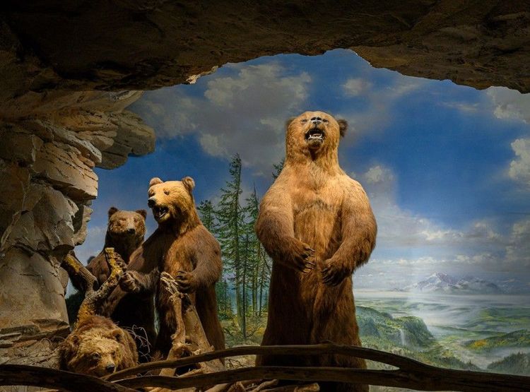 Haus der Natur.jpg