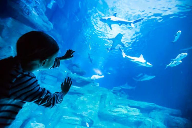 Aquarium de Paris.jpg