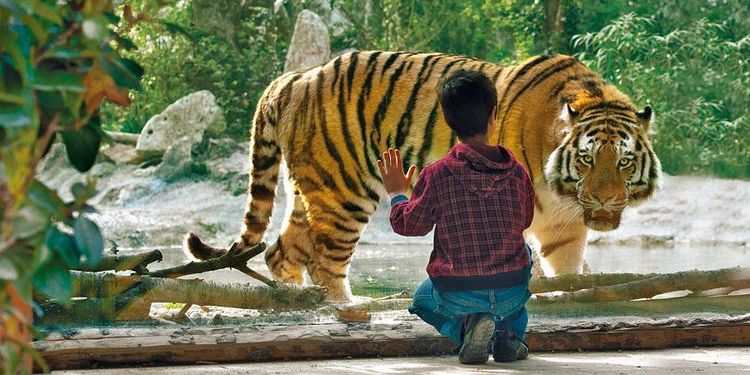 tigre-siberiana-sezione.jpg