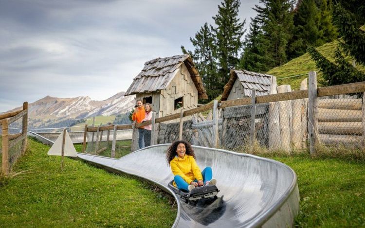 Sommerrodelbahn Wirzweli2.jpg