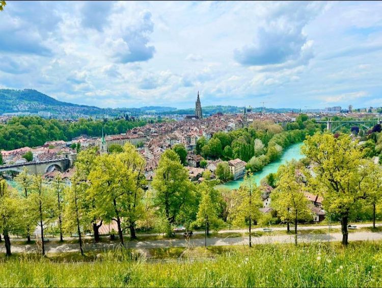 Rose Garden Bern.jpg