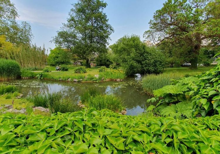 Geneva's Botanical Gardens.jpg