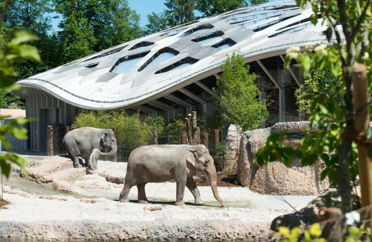Zoo Zurich.jpg