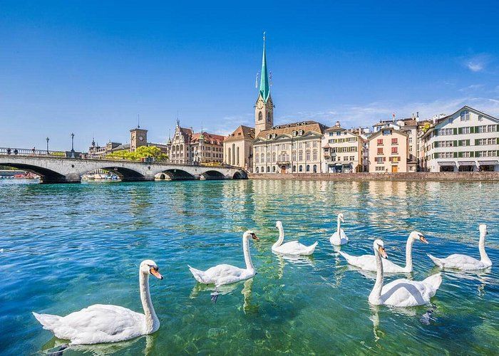 Lake Zurich.jpg