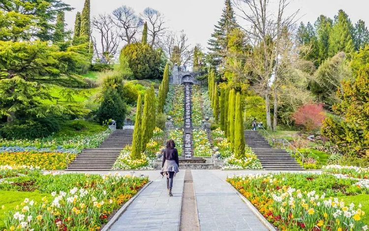 Island Mainau5.jpg