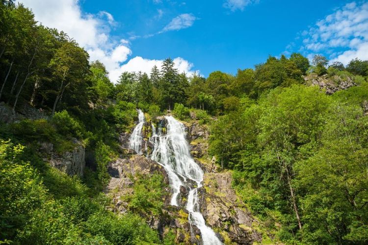 Todtnau Waterfall.jpg