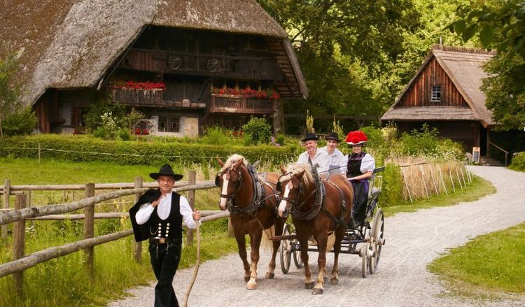 Black Forest Open Air Museum.jpg