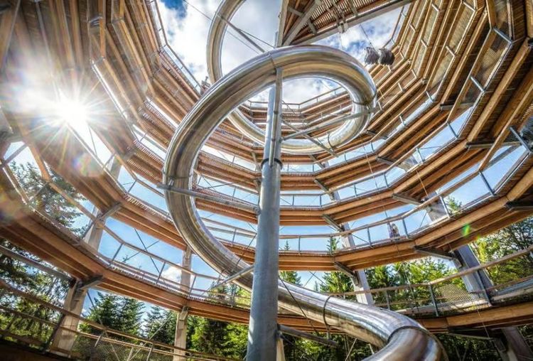 Treetop Walk Black Forest.jpg