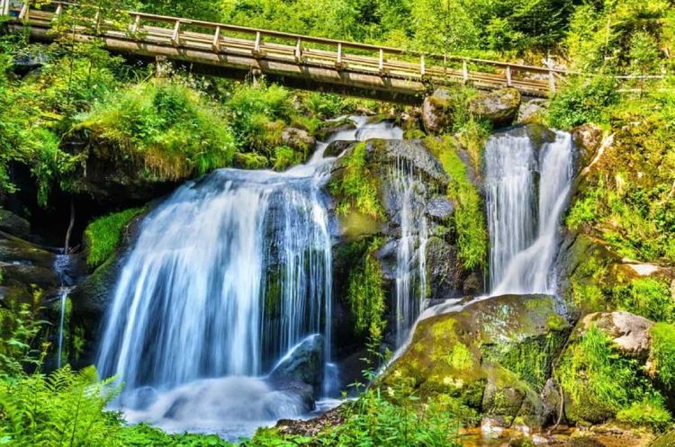 Triberg Waterfalls.jpg