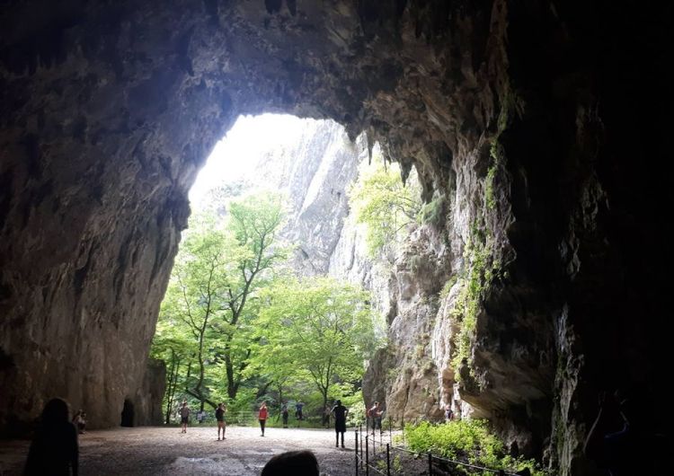 Skocjan Caves.jpg