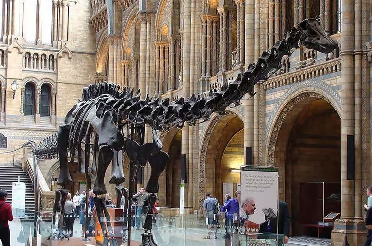 Natural History Museum.jpg