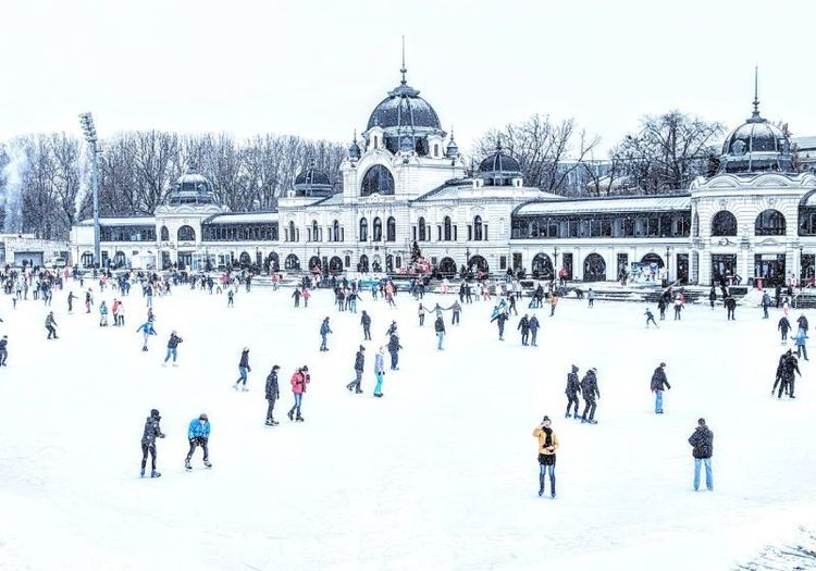 City Park Ice Rink and Boating.jpg