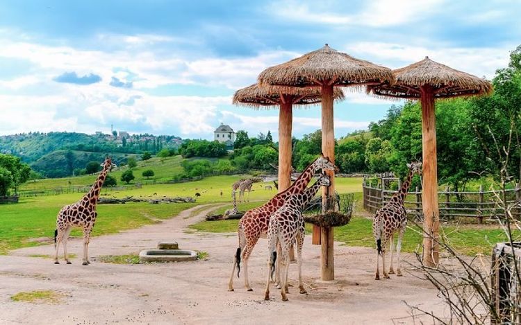 Prague Zoo.jpg