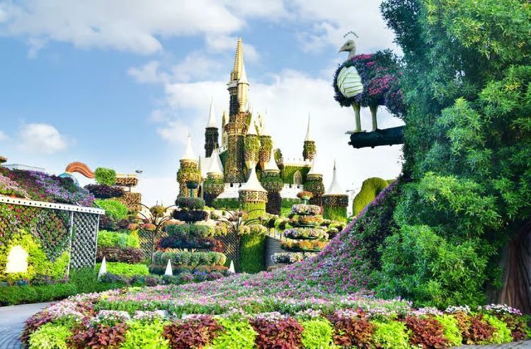 Dubai Miracle Garden7.jpg