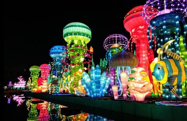 Dubai Garden Glow.jpg