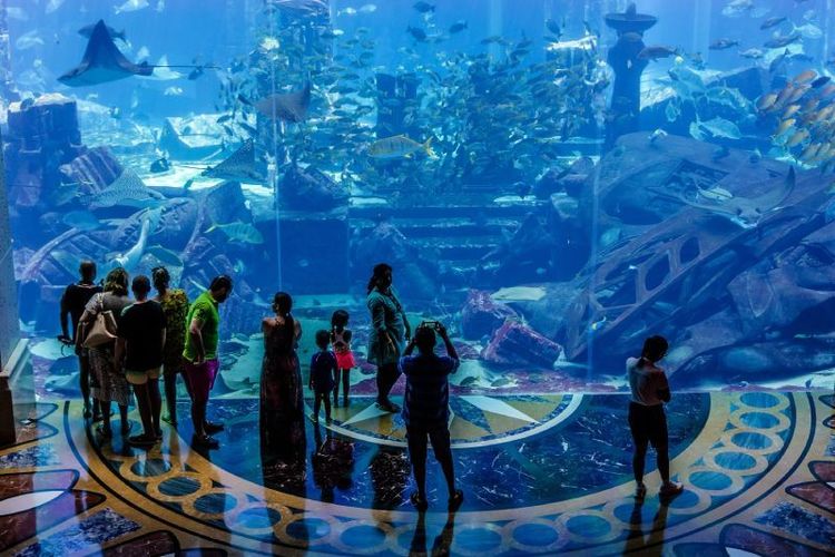 The Lost Chambers Aquarium.jpg