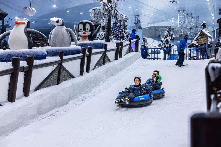 Ski Dubai4.jpg
