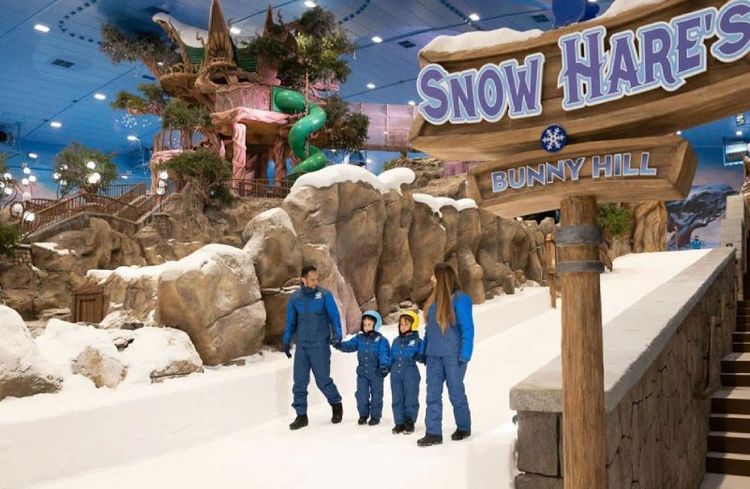 Snow Abu dhabi2.jpg