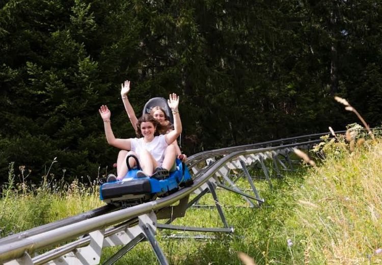 Les Planards - Chamonix Mont Blanc2.jpg