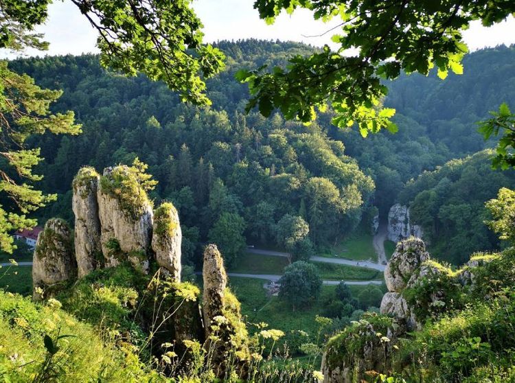 Ojcowski National Park.jpg