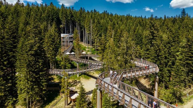 Brama w Gorce - Centrum Przyrodniczo-Edukacyjne5.jpg