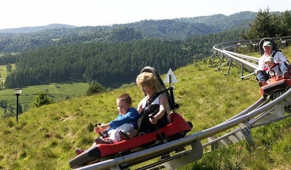 Kolejka górska (Alpine Coaster)2.jpg