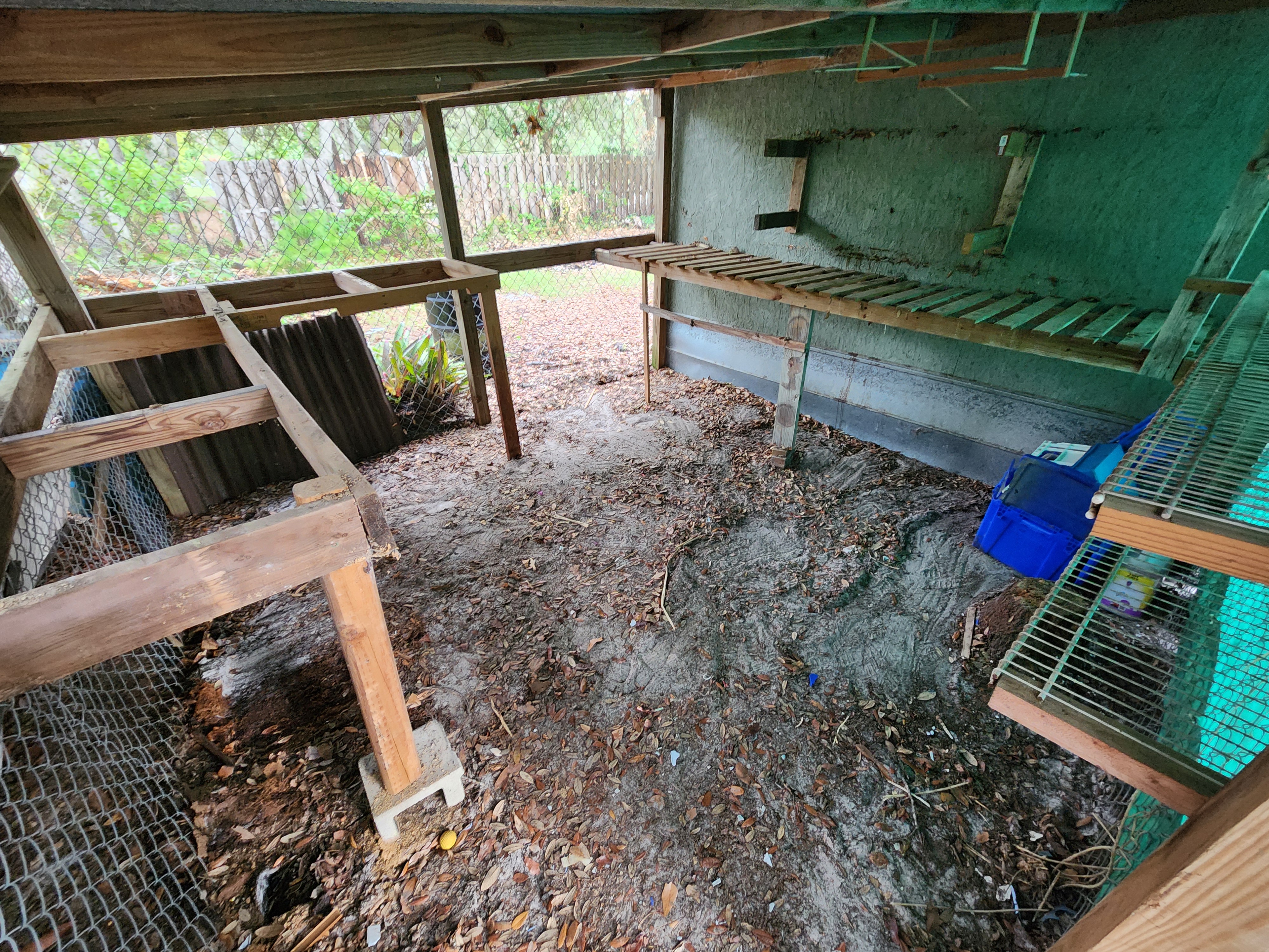 Wood debris area after removal