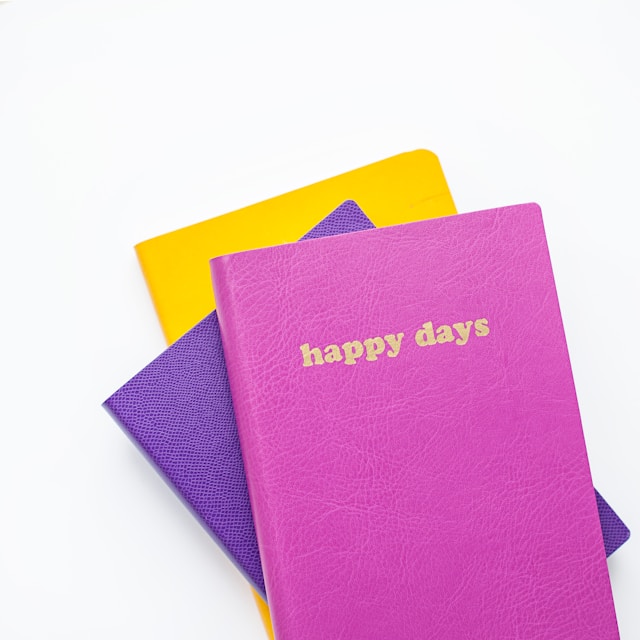 Mindfulness Journal