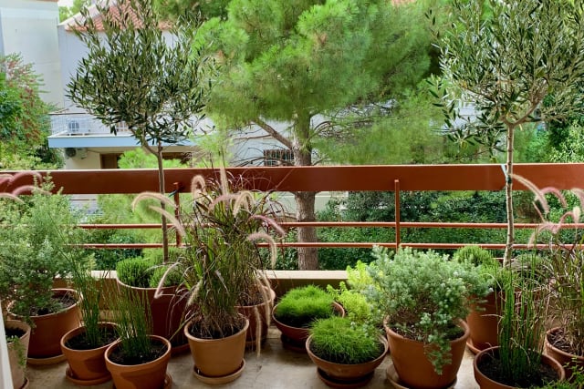 Container-Entspannungsgarten in Nea Erythraia