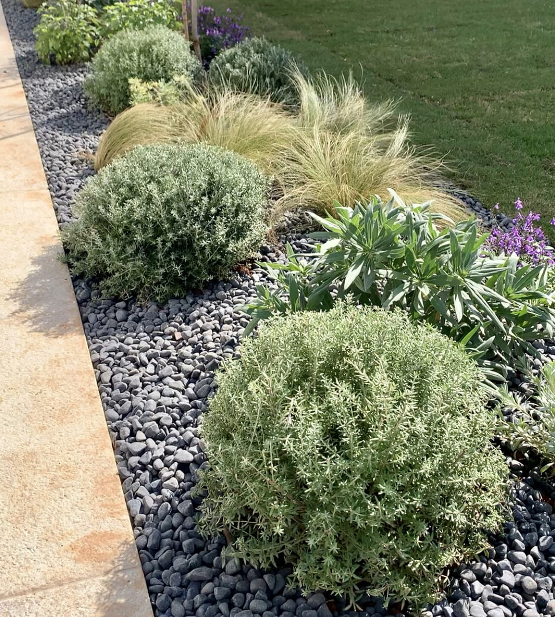 Family garden in Glyfada. Project realization.