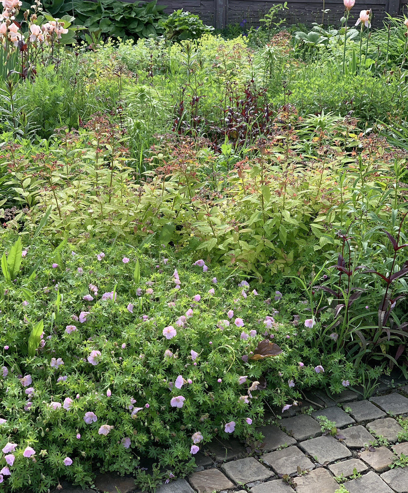 A Designer's Personal Garden