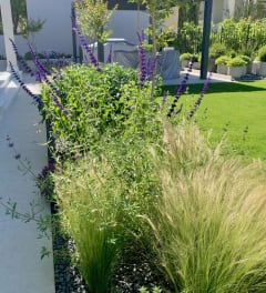 Giardino familiare a Glyfada. Realizzazione del progetto.