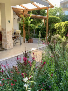 A Small Garden Without Borders in Marousi, 1.5 Years Later