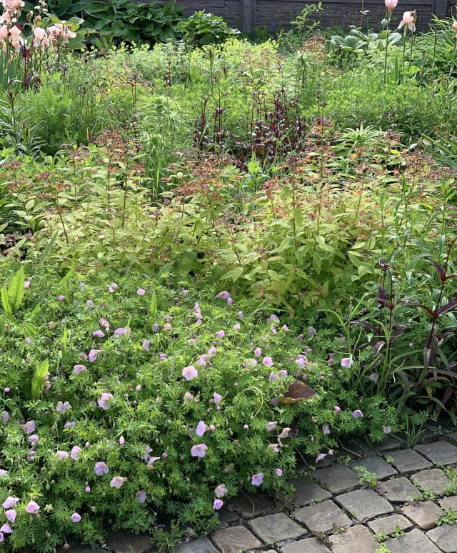Der private Garten einer Designerin