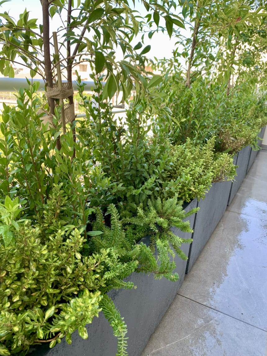 Office Garden. Glyfada, Athens