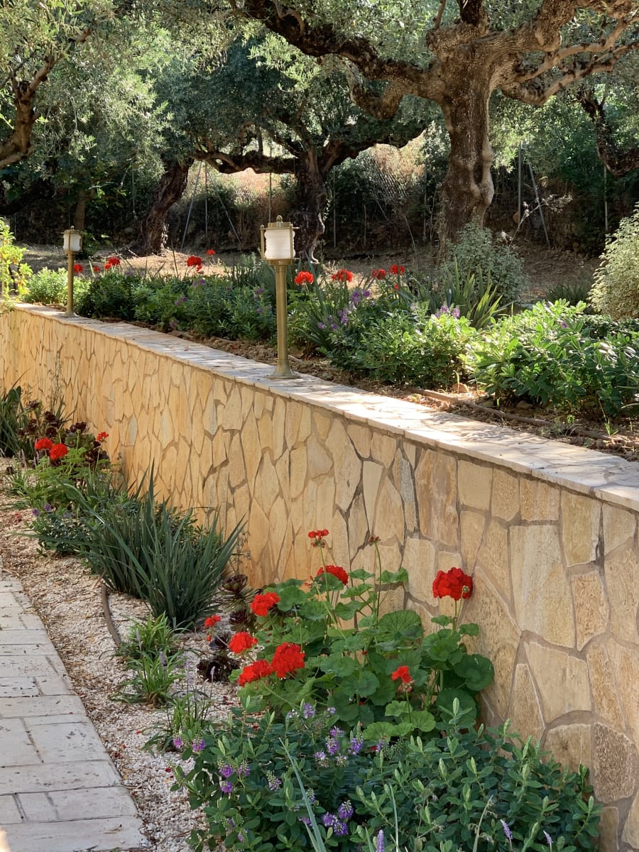Aromatic Mediterranean herb garden along a stone terrace wall